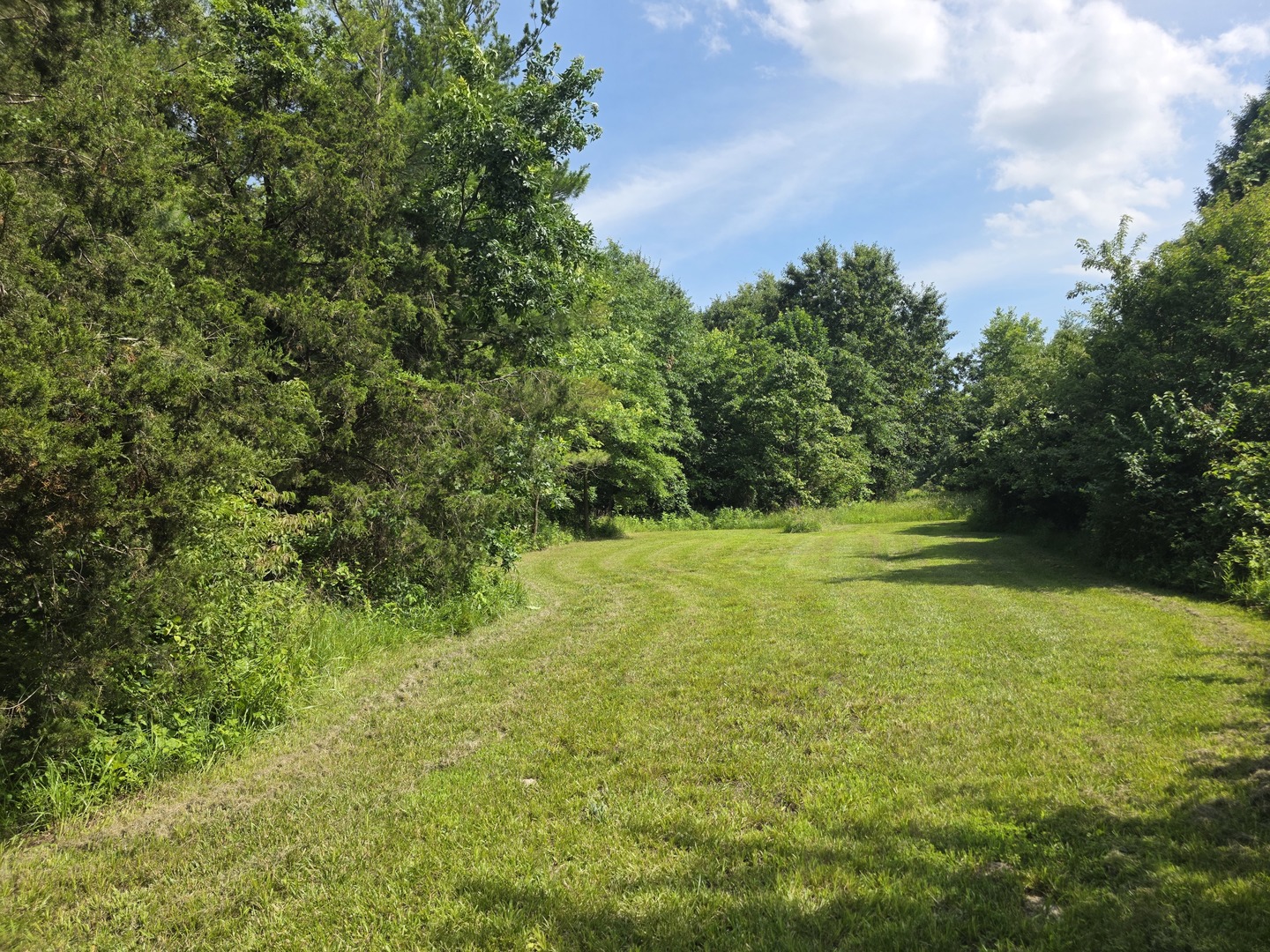 2878 Lazy Acre Road Odin, IL 62870 - Photo 14 of 54