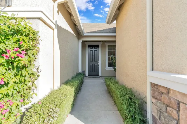 a view of a pathway with a flower plants