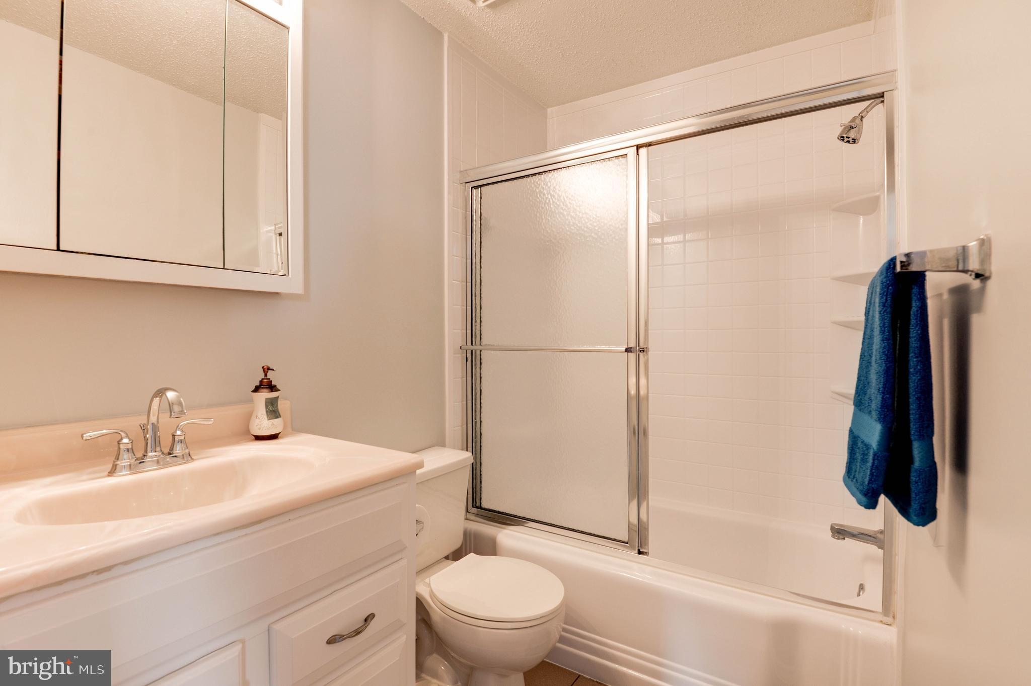 20979 Timber Ridge Terrace, Unit 303 Ashburn, VA 20147 - Photo 11 of 23 Bathroom
