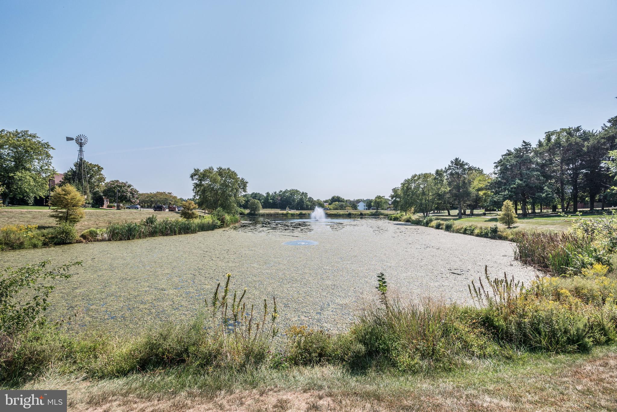 20979 Timber Ridge Terrace, Unit 303 Ashburn, VA 20147 - Photo 23 of 23 Local pond