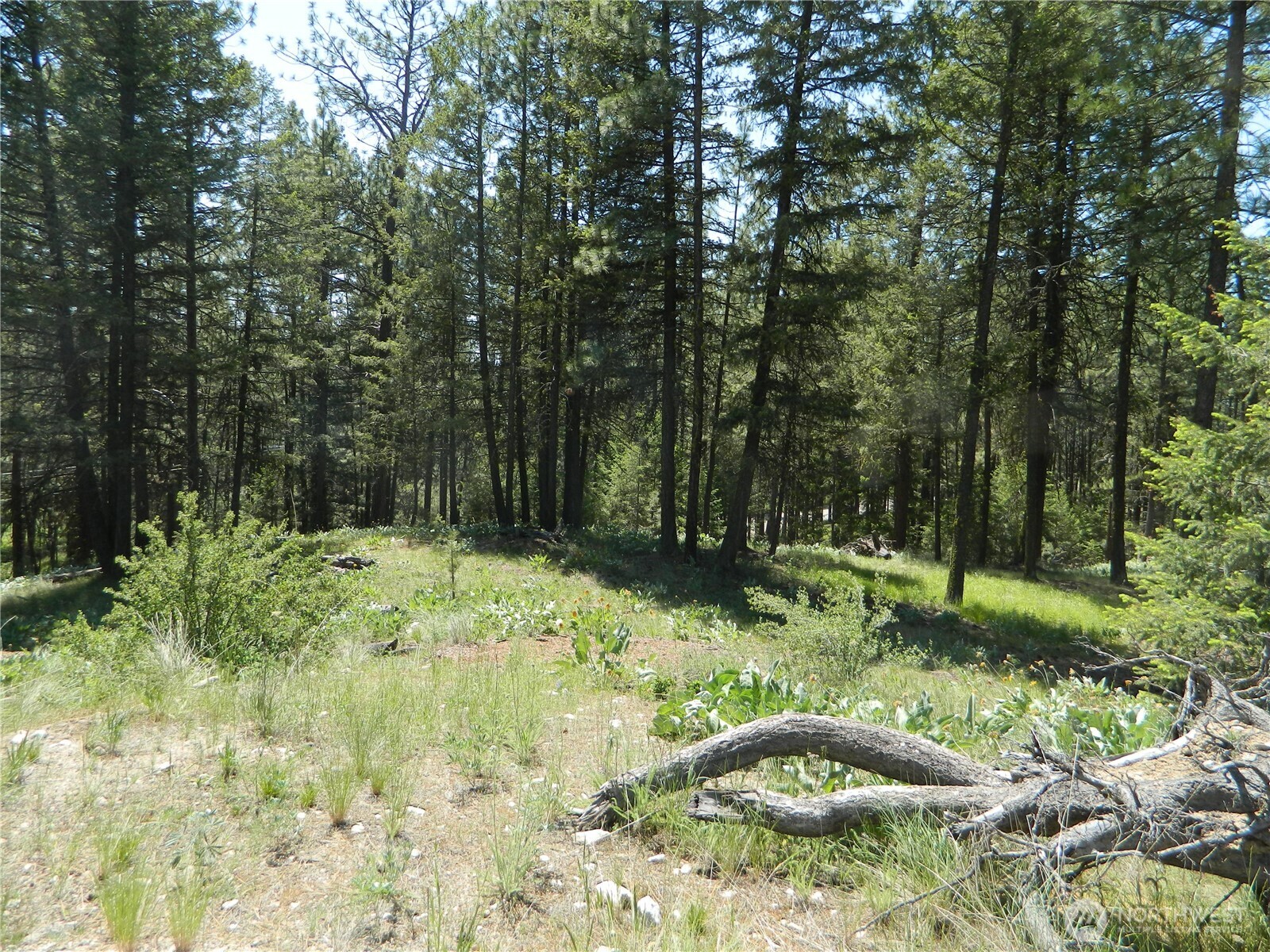 16 Summit Lake Road Tonasket, WA 98855 - Photo 11 of 28