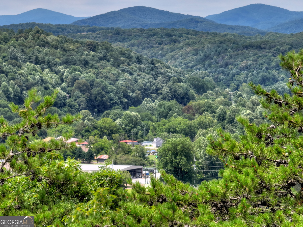 Lot 4 Mountain Trace Ellijay, GA 30540 - Photo 1 of 16 a view of a lush green forest with trees in the background