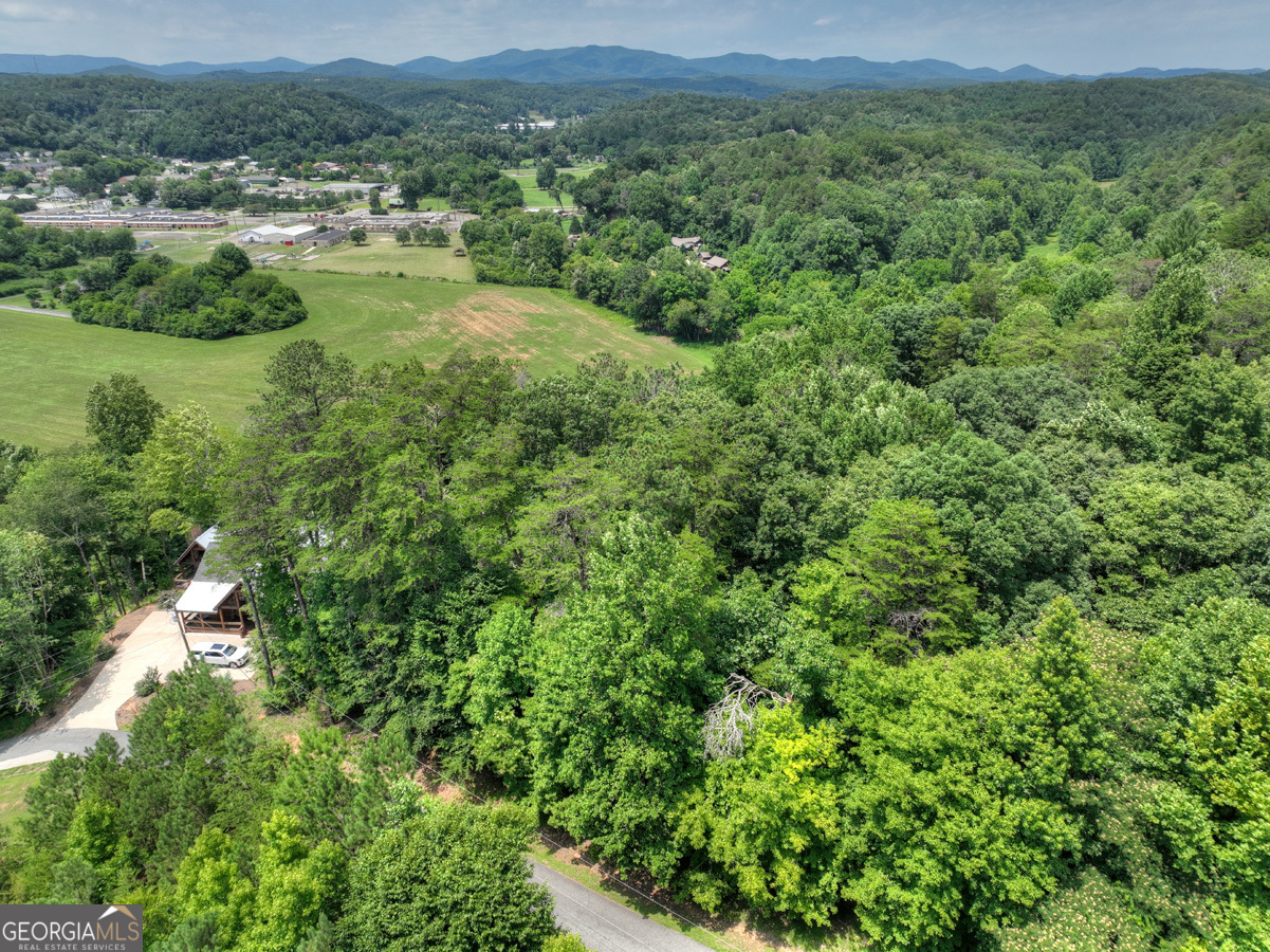Lot 4 Mountain Trace Ellijay, GA 30540 - Photo 13 of 16 an aerial view of residential houses with outdoor space and trees