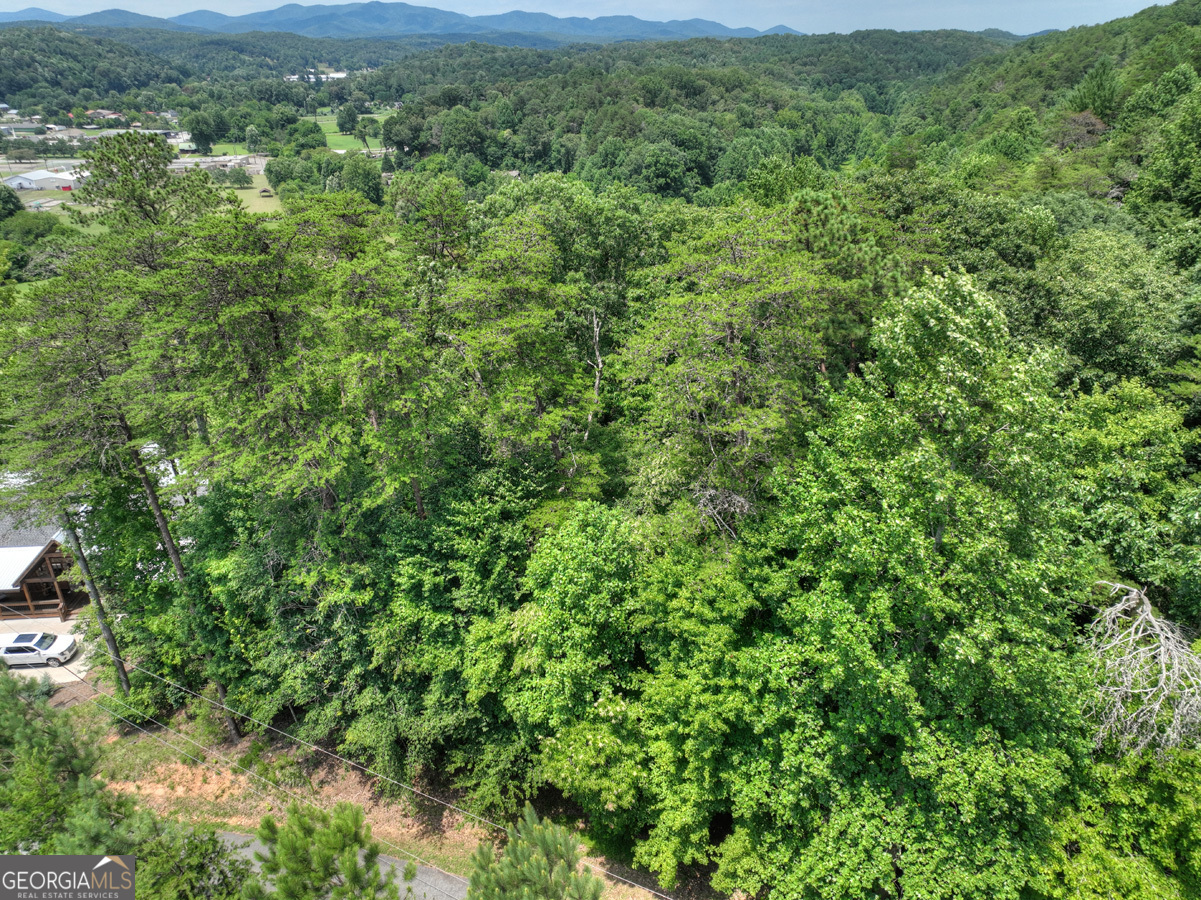 Lot 4 Mountain Trace Ellijay, GA 30540 - Photo 14 of 16 a view of a lush green forest with lush green forest
