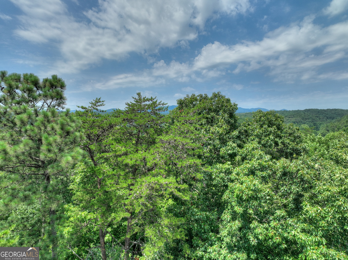 Lot 4 Mountain Trace Ellijay, GA 30540 - Photo 15 of 16 a backyard of a house with lots of green space