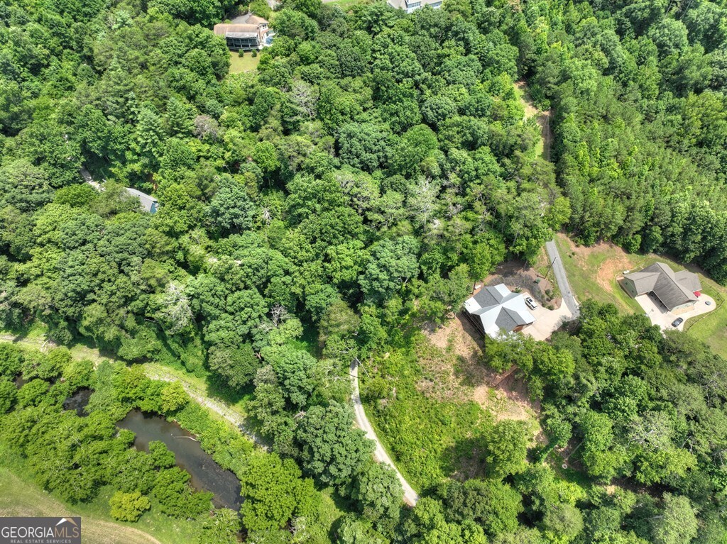 Lot 4 Mountain Trace Ellijay, GA 30540 - Photo 16 of 16 a view of a house with a tree