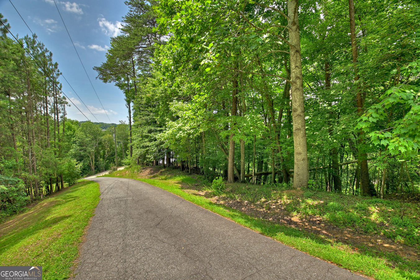 Lot 4 Mountain Trace Ellijay, GA 30540 - Photo 3 of 16 a view of a yard with plants and trees