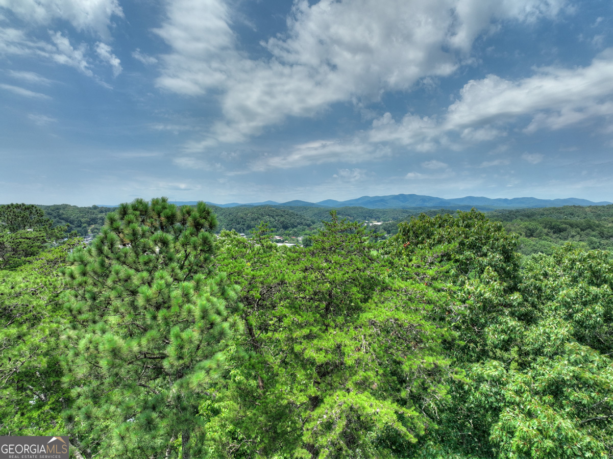 Lot 4 Mountain Trace Ellijay, GA 30540 - Photo 5 of 16 a view of a bunch of trees