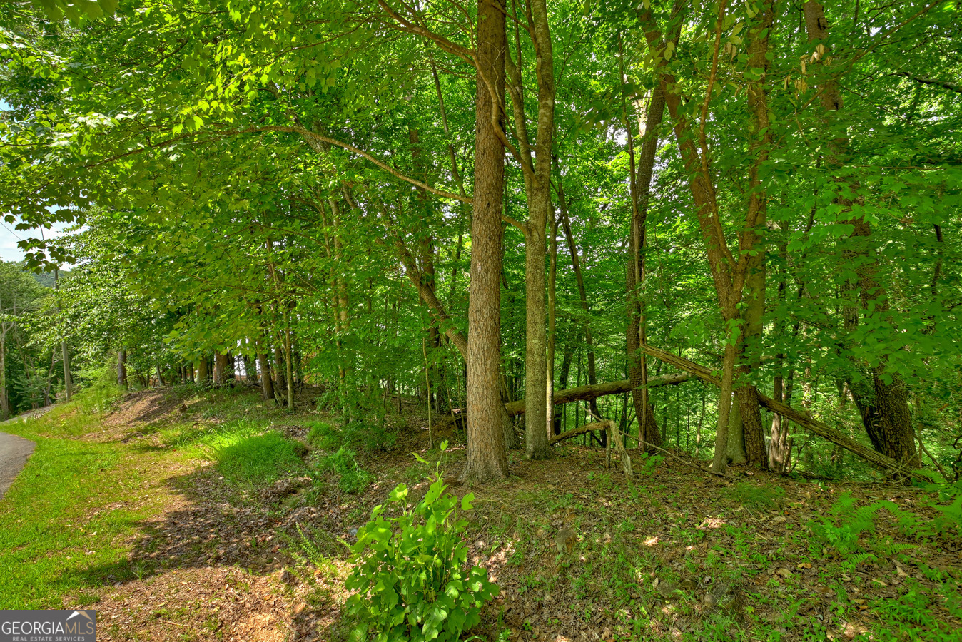 Lot 4 Mountain Trace Ellijay, GA 30540 - Photo 8 of 16 a view of outdoor space and yard