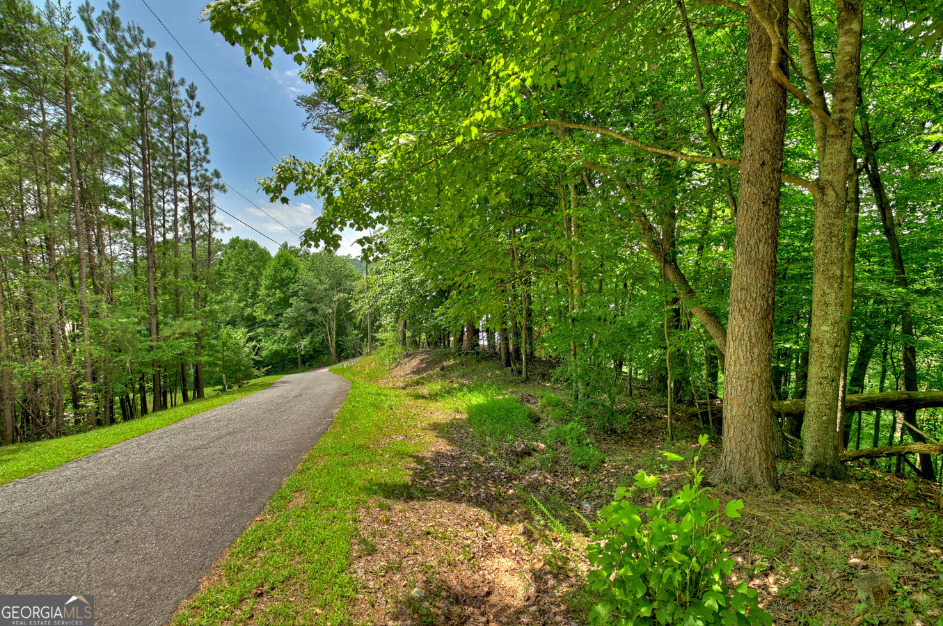 Lot 4 Mountain Trace Ellijay, GA 30540 - Photo 9 of 16 a view of a yard with large trees