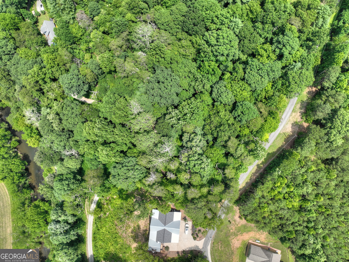 Lot 4 Mountain Trace Ellijay, GA 30540 - Photo 10 of 16 a view of a forest with a tree