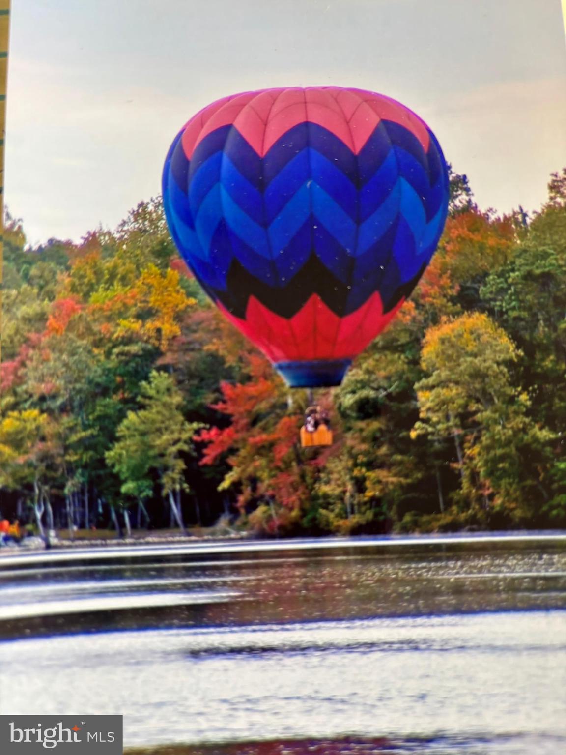 25305 Sandy Point Road Greensboro, MD 21639 - Photo 12 of 92 Occasional visitors!