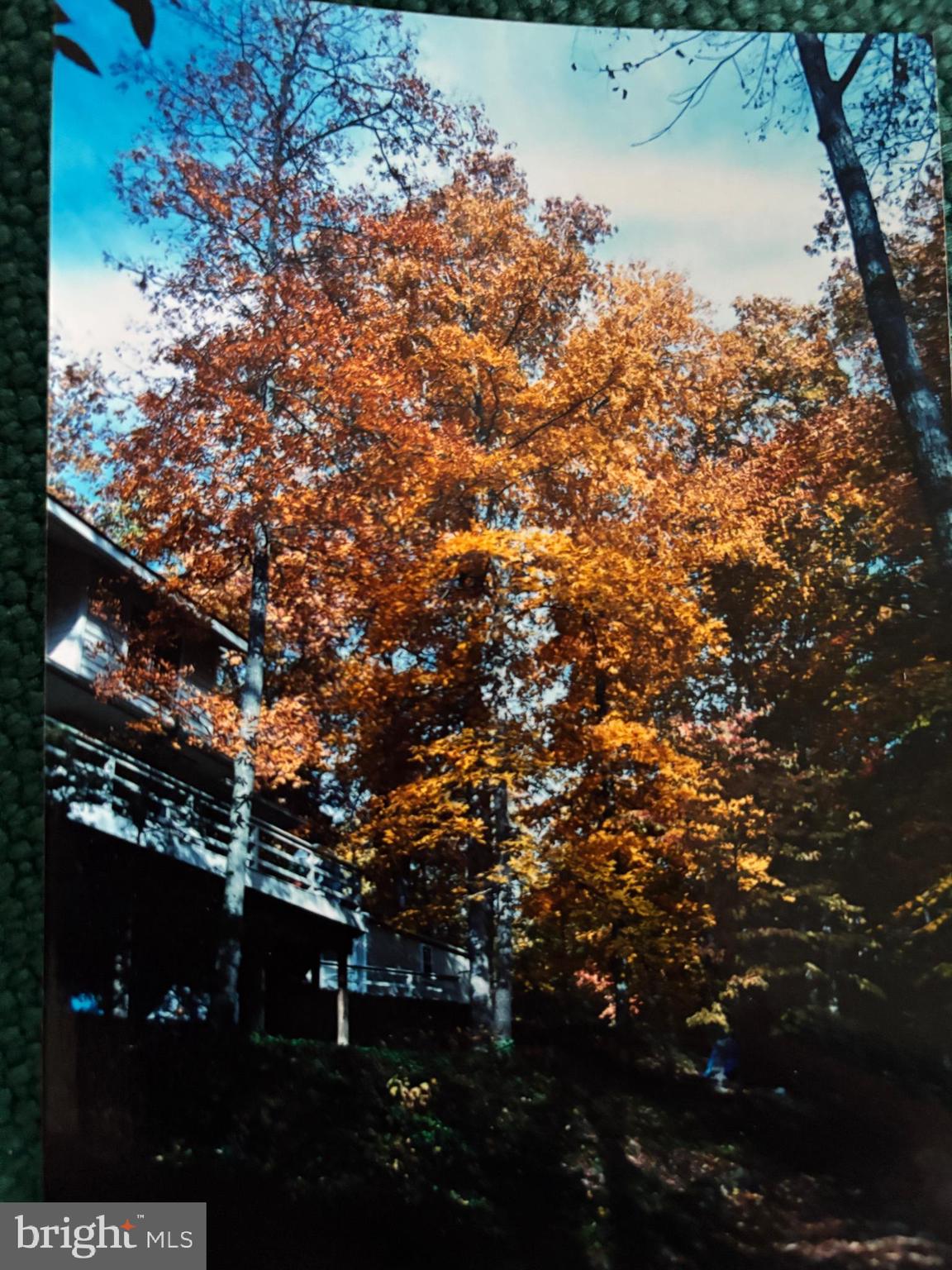 25305 Sandy Point Road Greensboro, MD 21639 - Photo 24 of 92