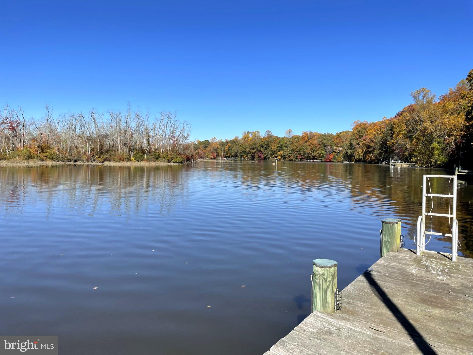 25305 Sandy Point Road Greensboro, MD 21639 - Photo 8 of 92