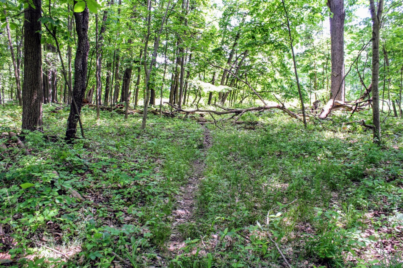 18218 27 Mile Road Springport, MI 49284 - Photo 51 of 64