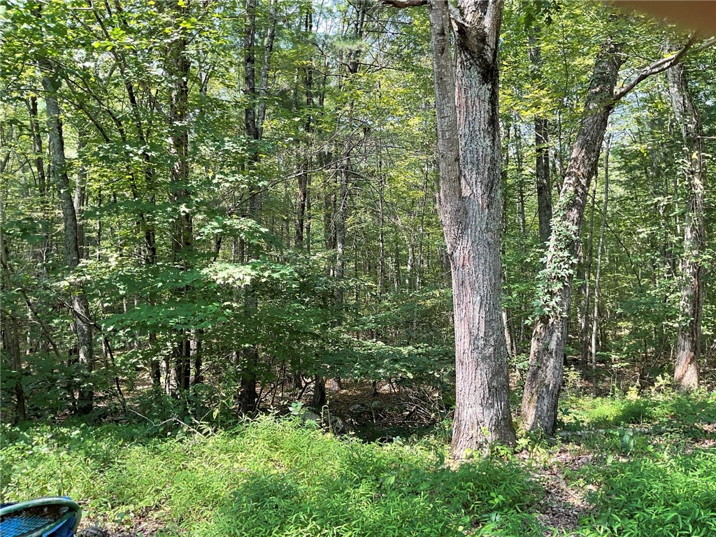 20 Shippee Schoolhouse Road Foster, RI 02825 - Photo 33 of 37
