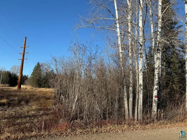 $19,900 | Parcel C Parcel C Parameter Road, Deer River, MN 56636