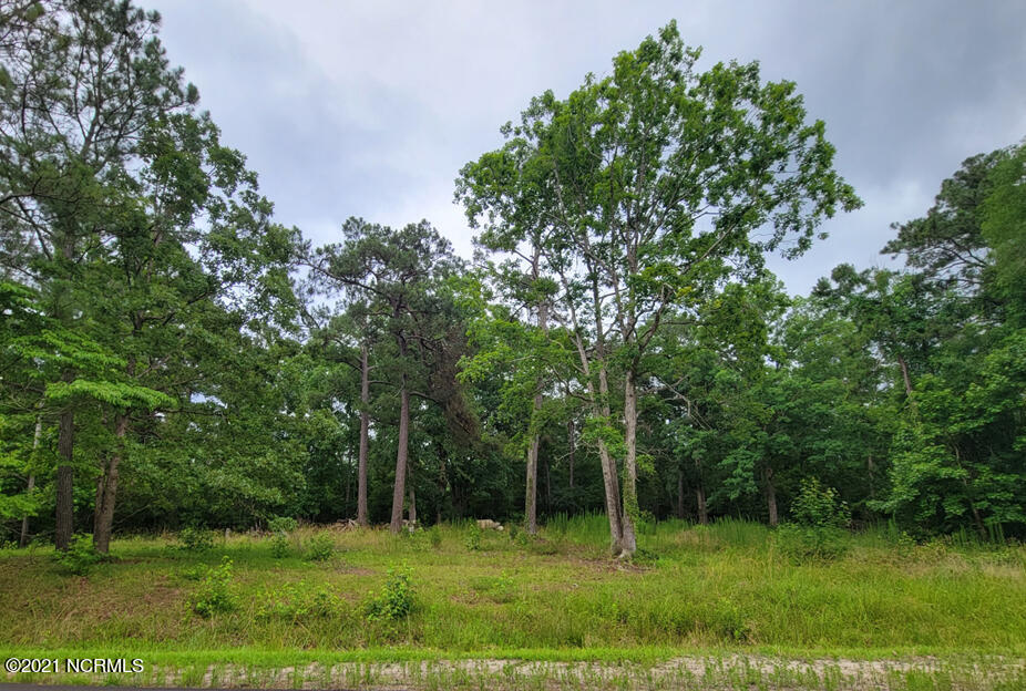 128 Henson Road Hubert, NC 28539 - Photo 3 of 9 Henson 4