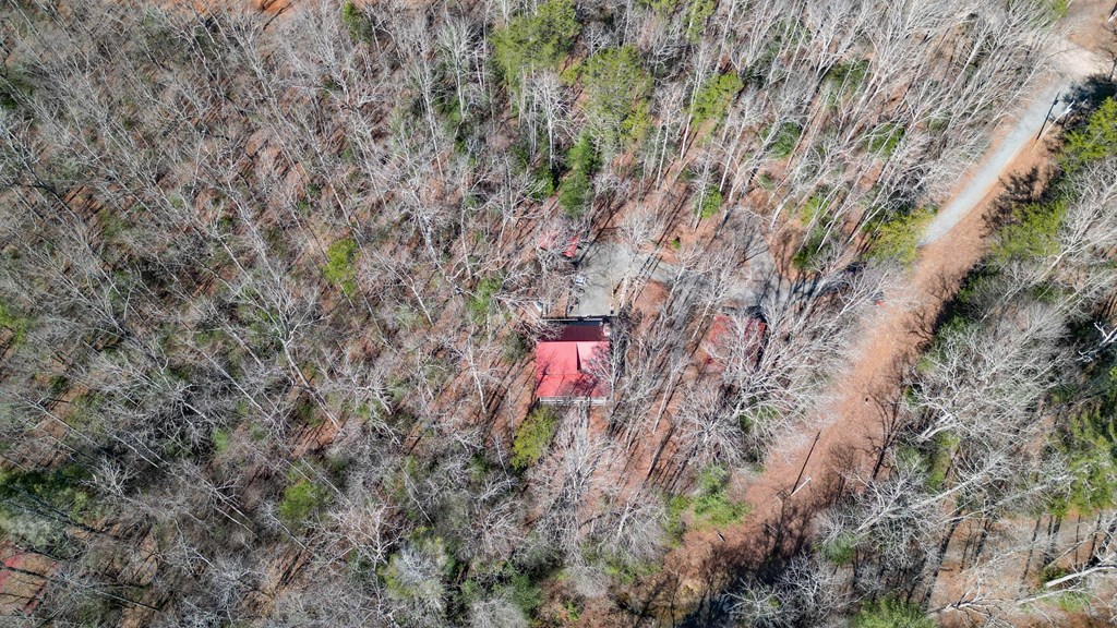 57 Mangum's Trail Blue Ridge, GA 30513 - Photo 63 of 66
