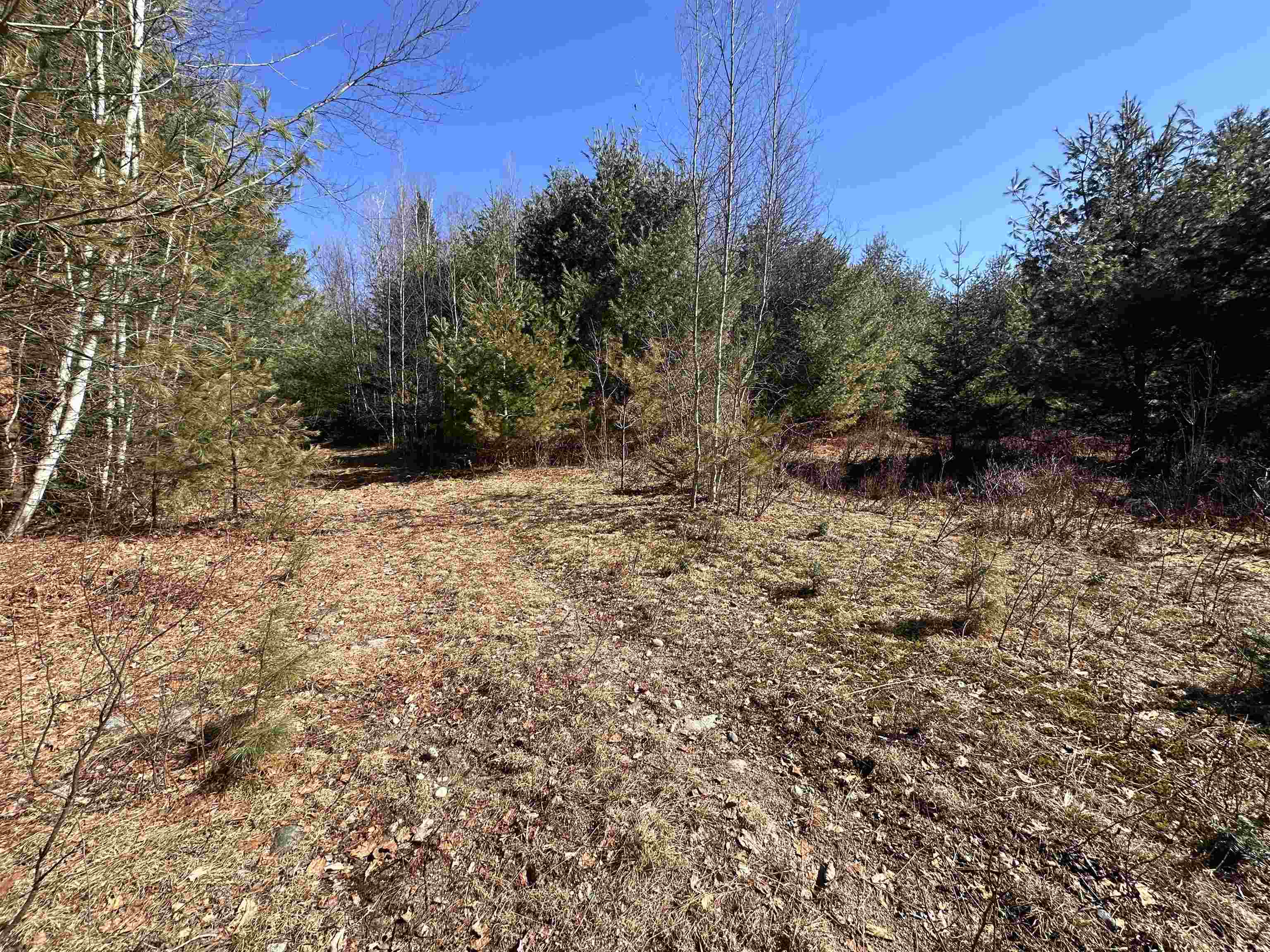 2238 Oregon Road Concord, VT 05906 - Photo 11 of 12