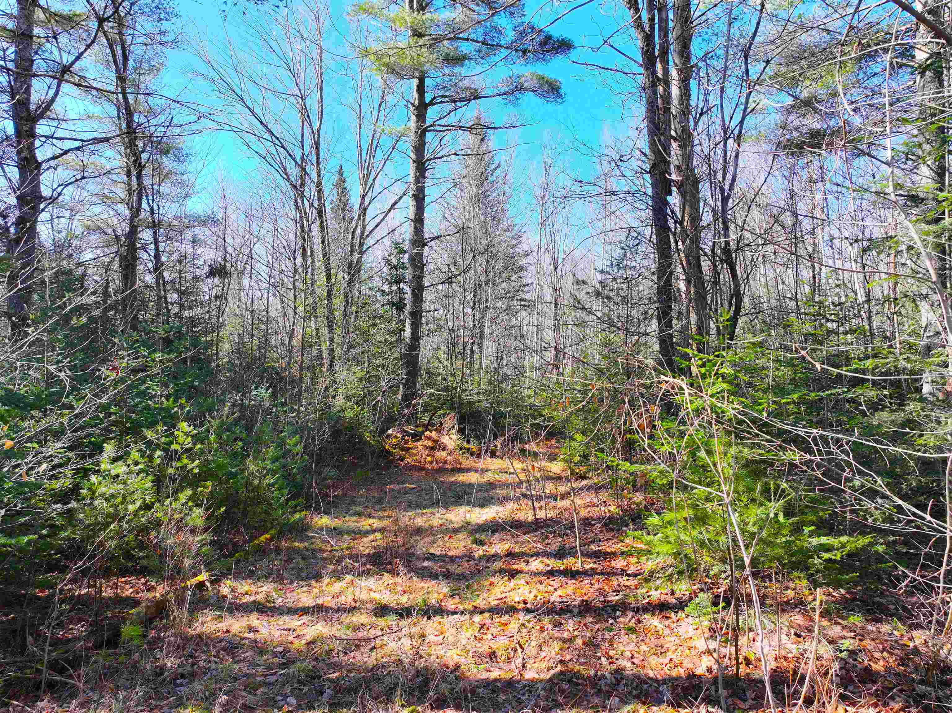 2238 Oregon Road Concord, VT 05906 - Photo 2 of 12