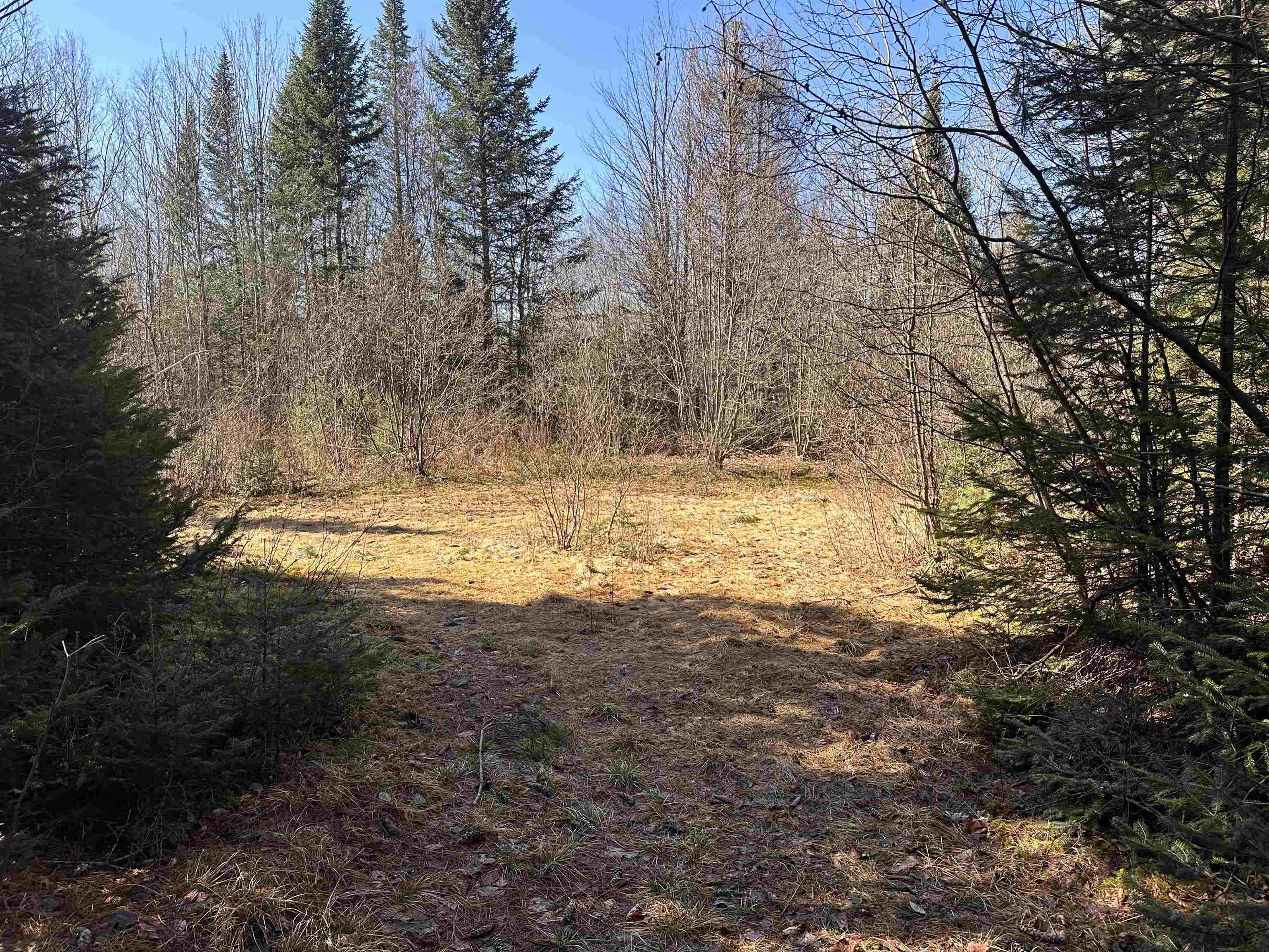 2238 Oregon Road Concord, VT 05906 - Photo 3 of 12