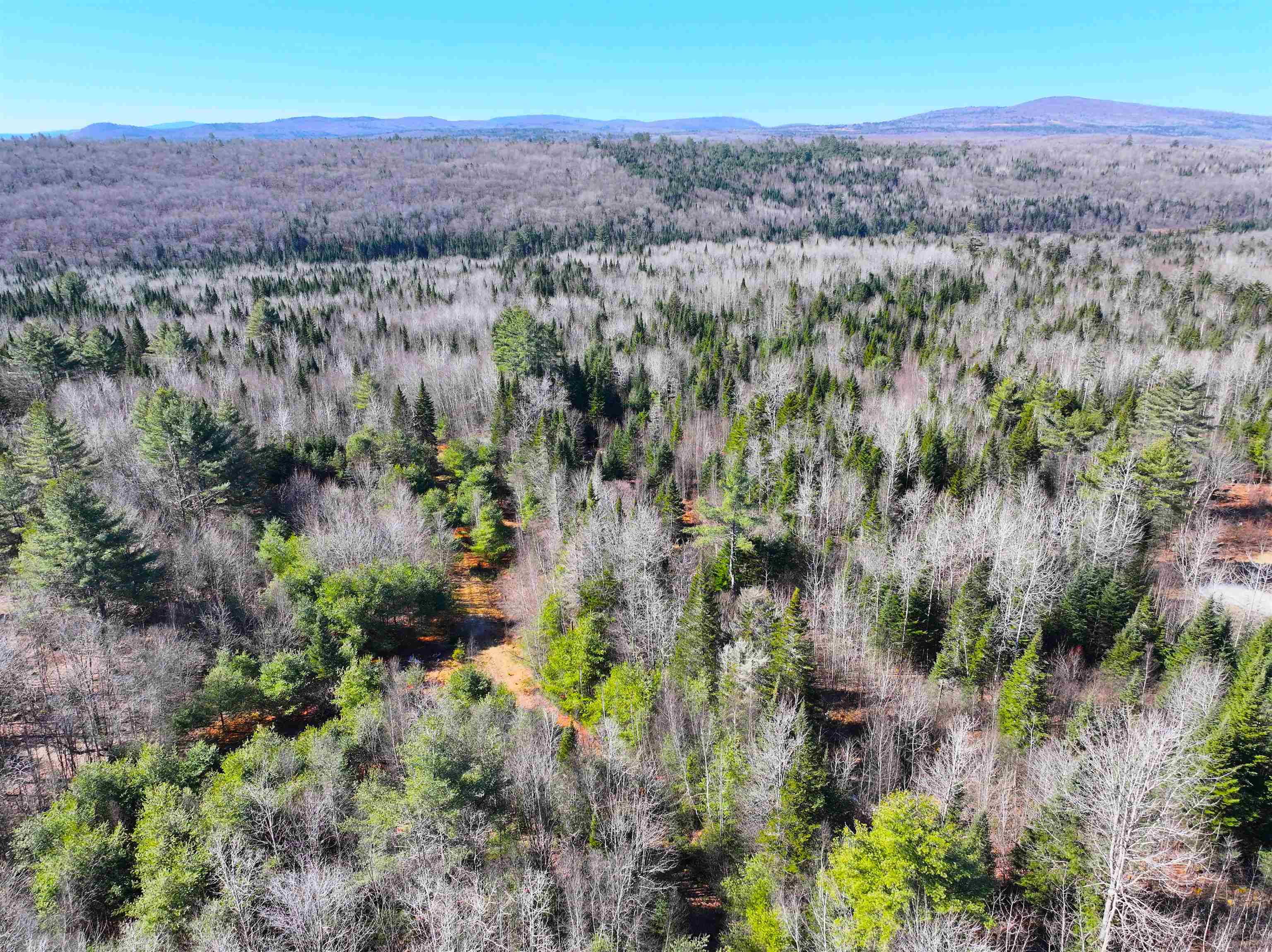 2238 Oregon Road Concord, VT 05906 - Photo 5 of 12