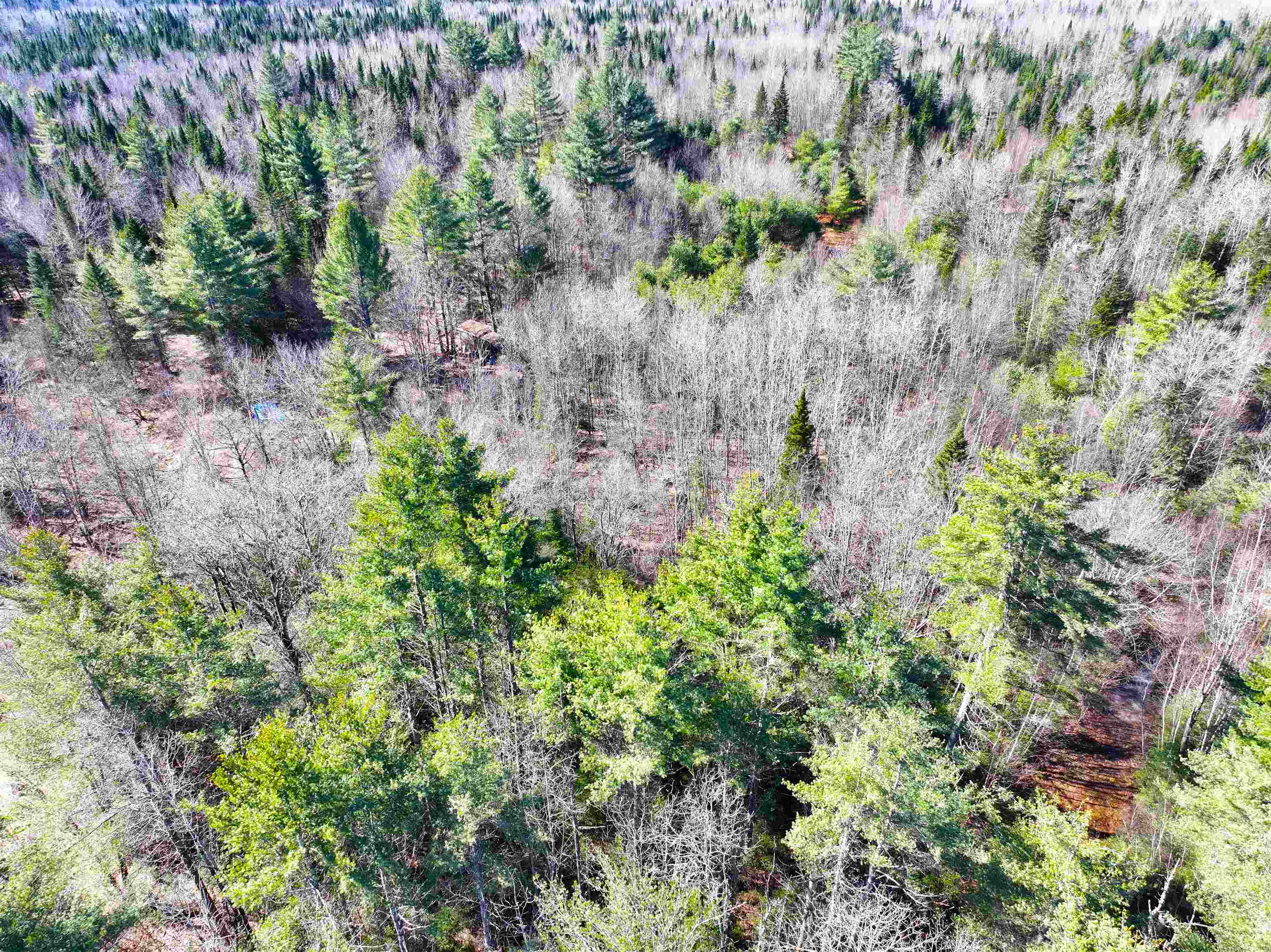 2238 Oregon Road Concord, VT 05906 - Photo 6 of 12