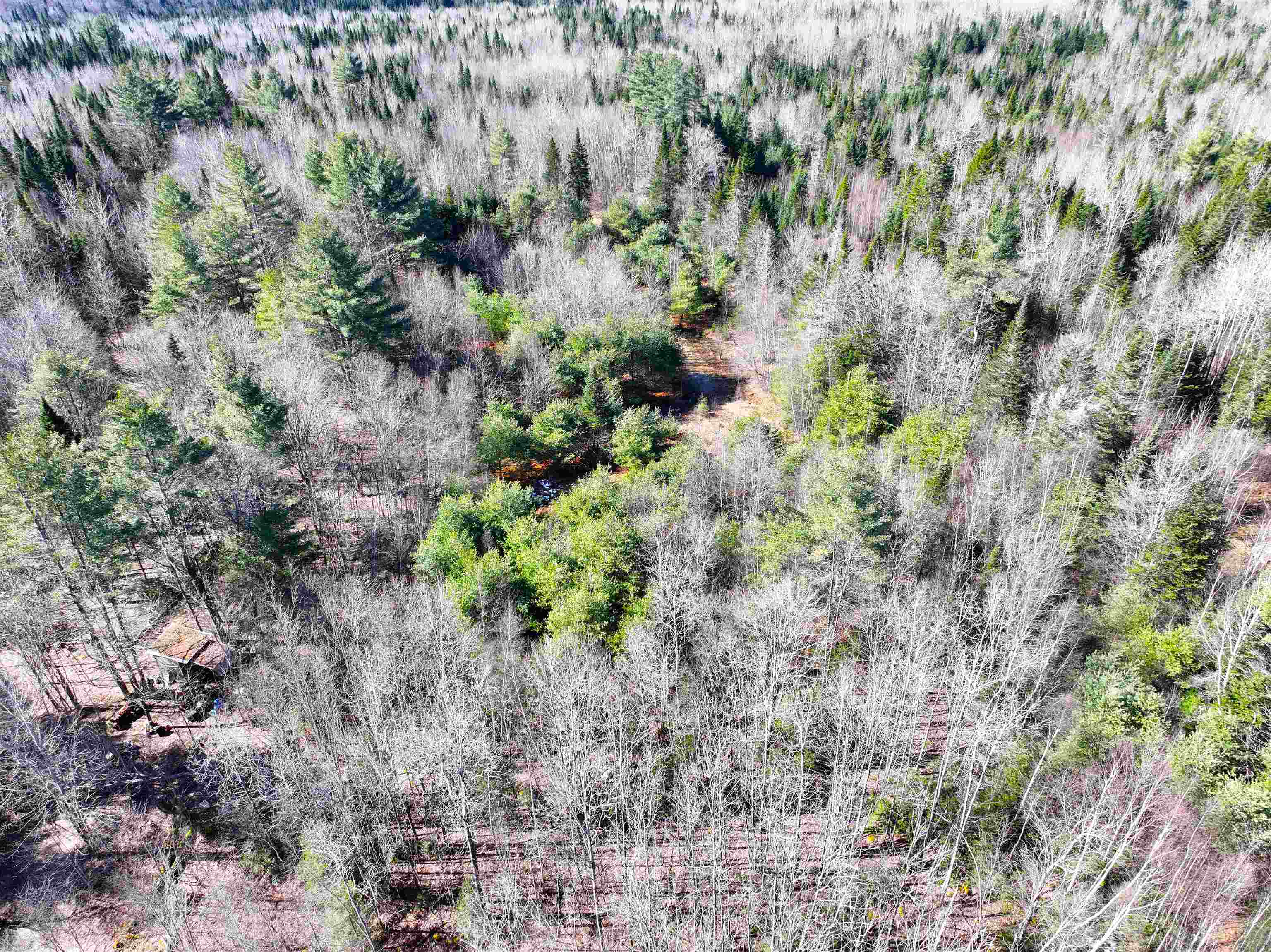 2238 Oregon Road Concord, VT 05906 - Photo 7 of 12