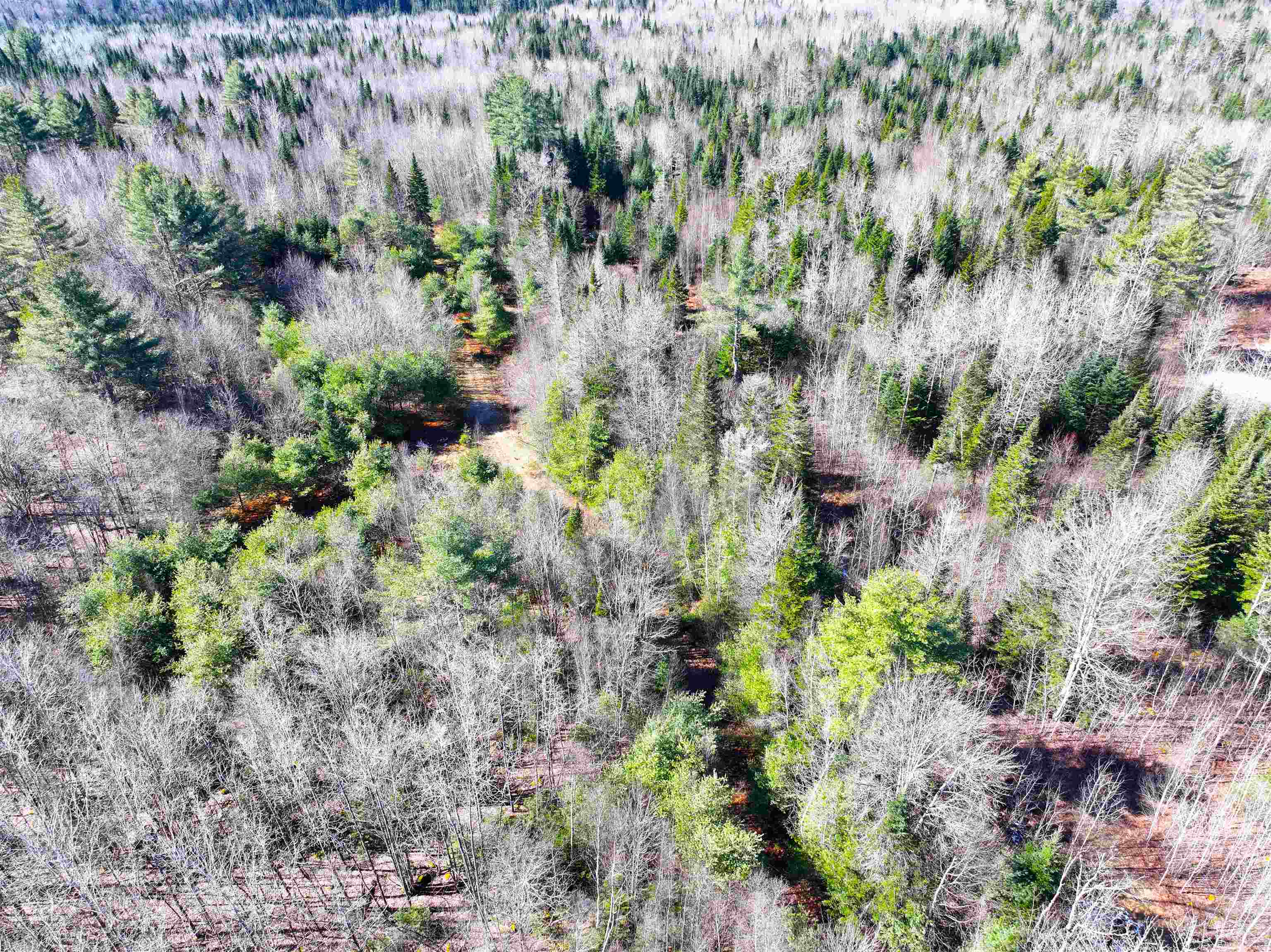 2238 Oregon Road Concord, VT 05906 - Photo 8 of 12