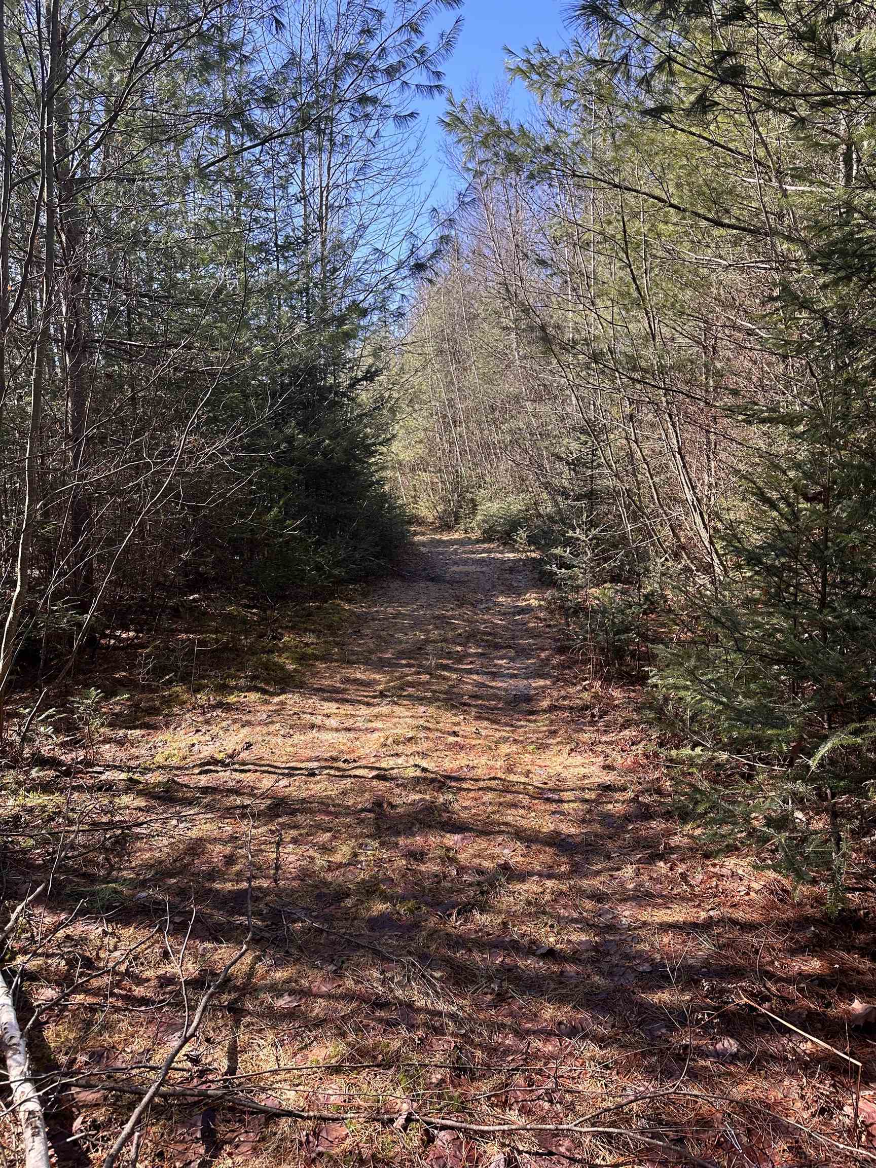 2238 Oregon Road Concord, VT 05906 - Photo 9 of 12