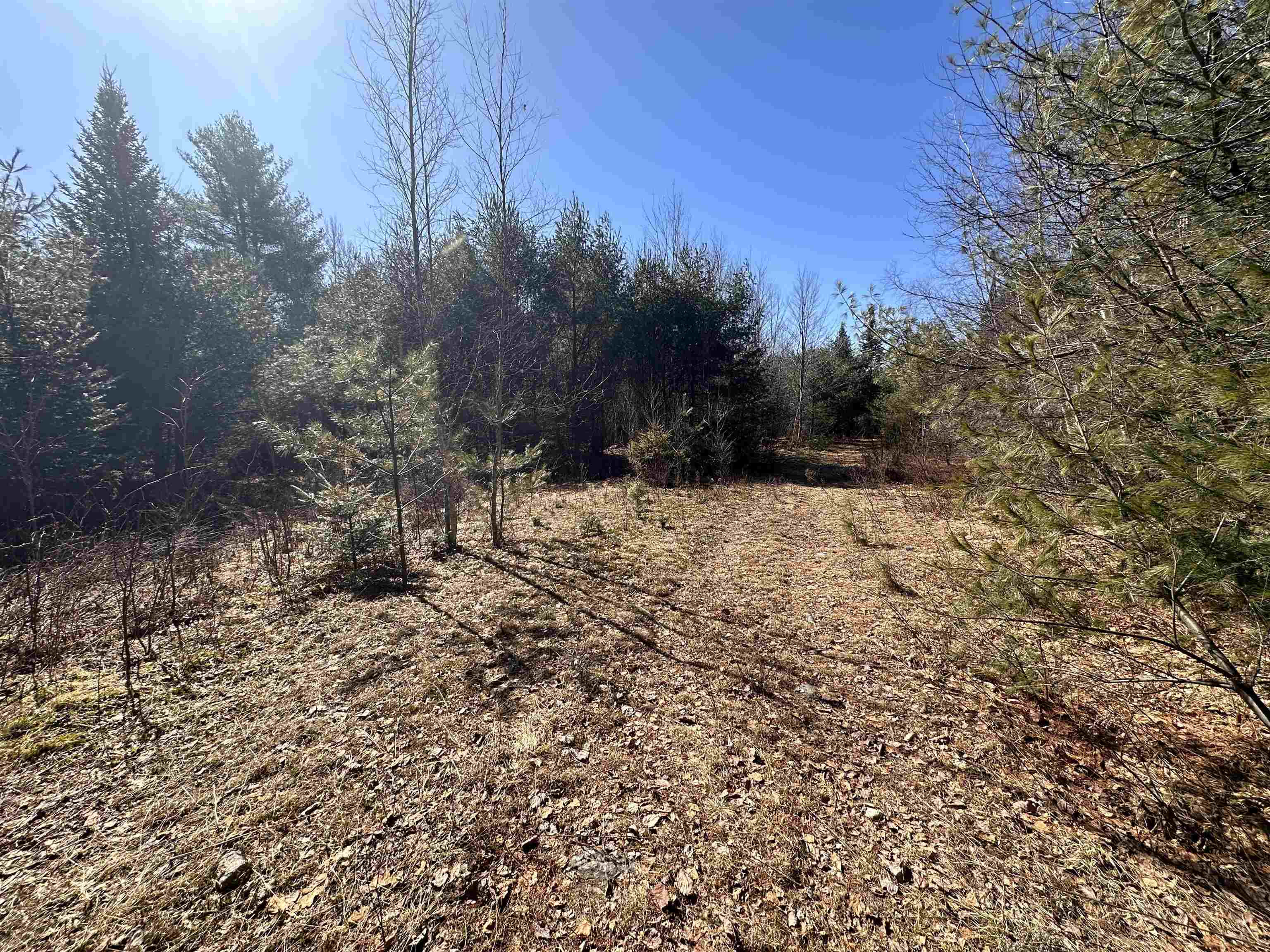 2238 Oregon Road Concord, VT 05906 - Photo 10 of 12