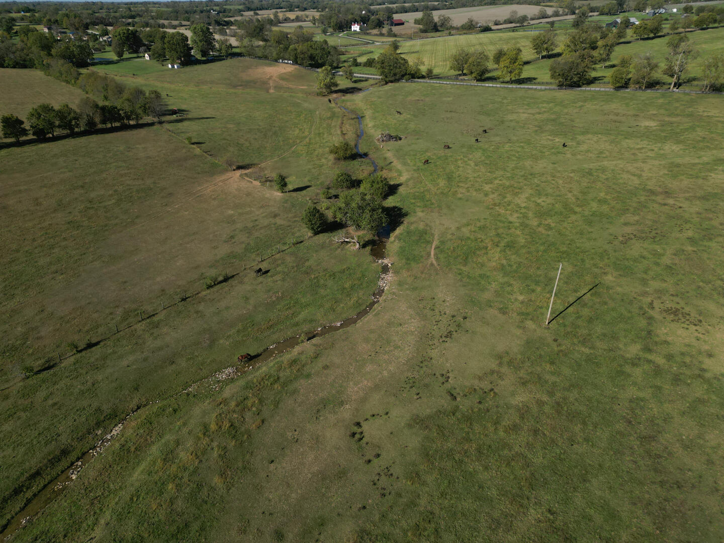 990 Clay Kiser Road Paris, KY 40361 - Photo 28 of 30 DJI_0745