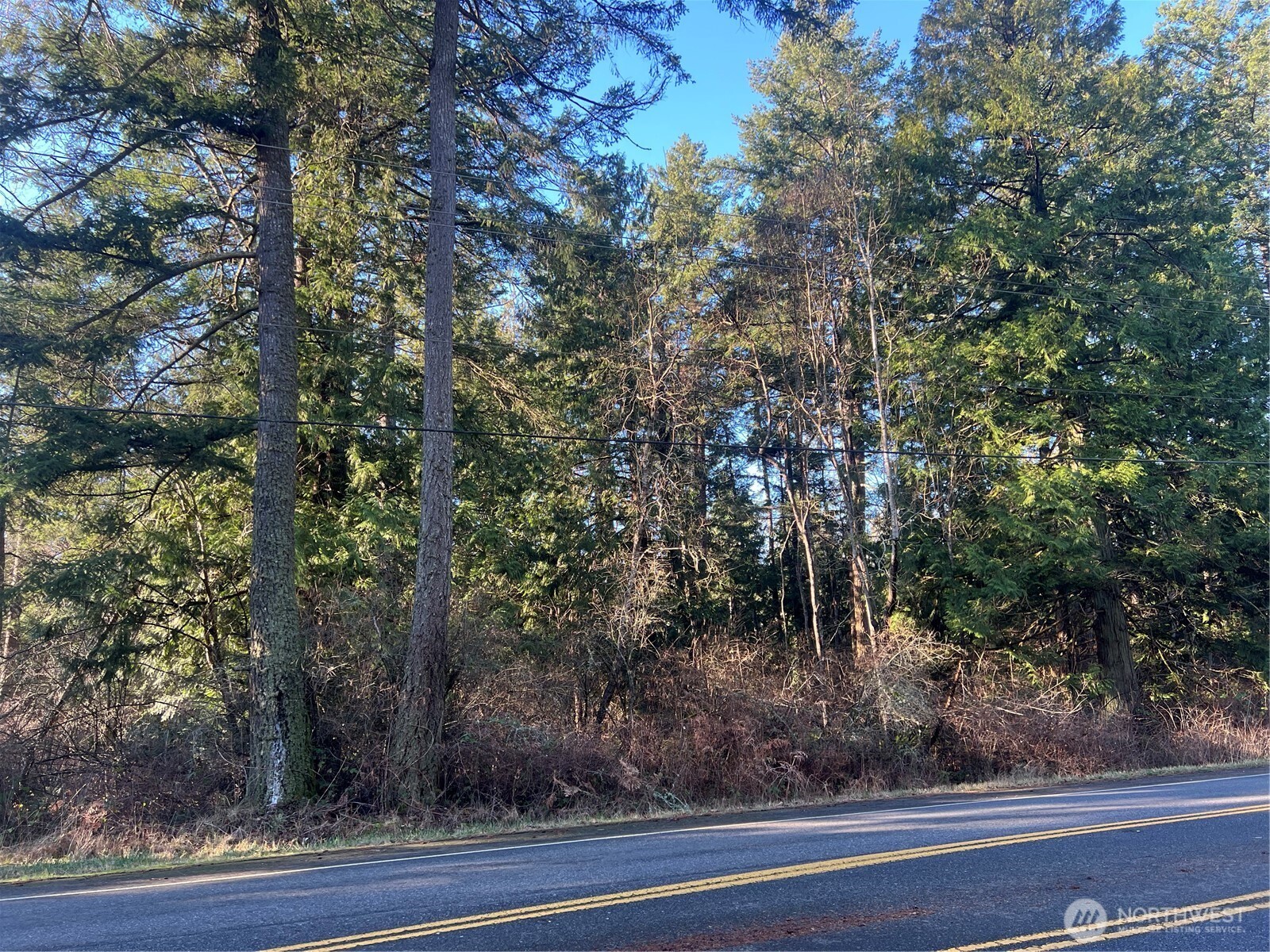 0 Tyee Drive Point Roberts, WA 98281 - Photo 3 of 19 a view of a yard