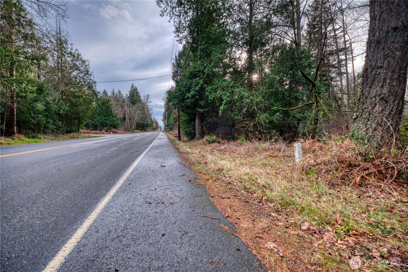 0 Tyee Drive Point Roberts, WA 98281 - Photo 4 of 19 a view of a yard with trees