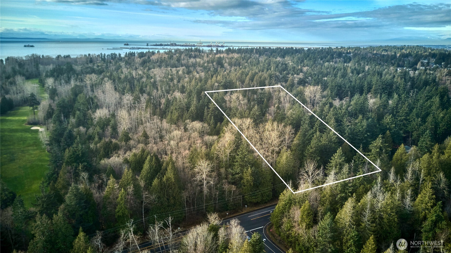 0 Tyee Drive Point Roberts, WA 98281 - Photo 8 of 19 a view of a forest with a lake view