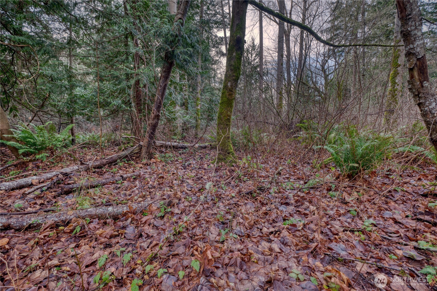 0 Tyee Drive Point Roberts, WA 98281 - Photo 10 of 19 a view of a yard