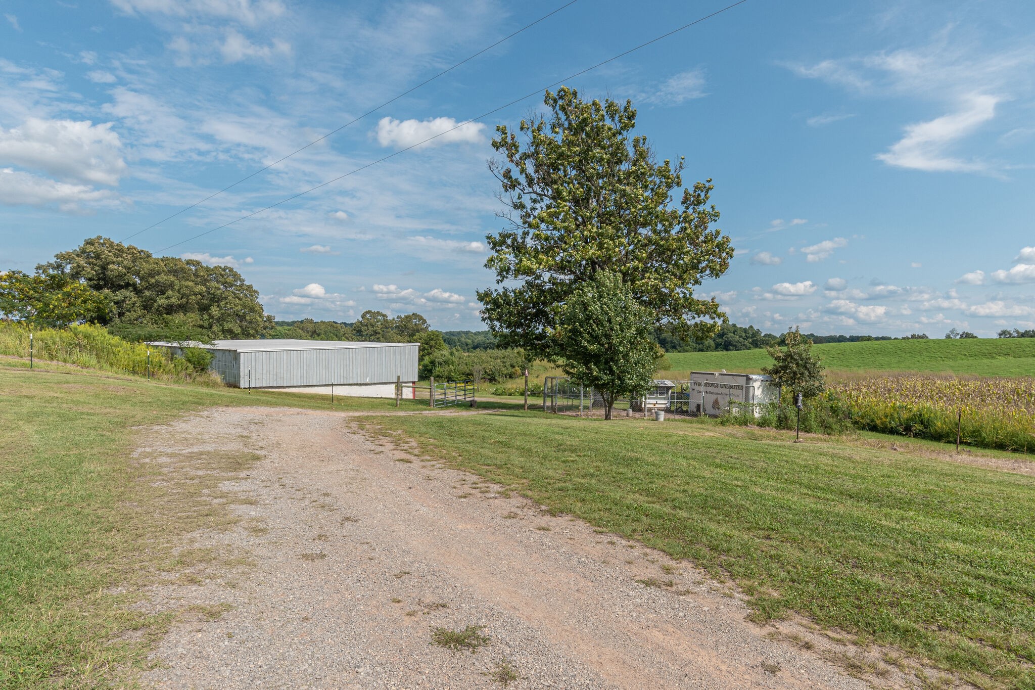 540 Cook Road Portland, TN 37148 - Photo 28 of 32 a view of a big yard with large trees