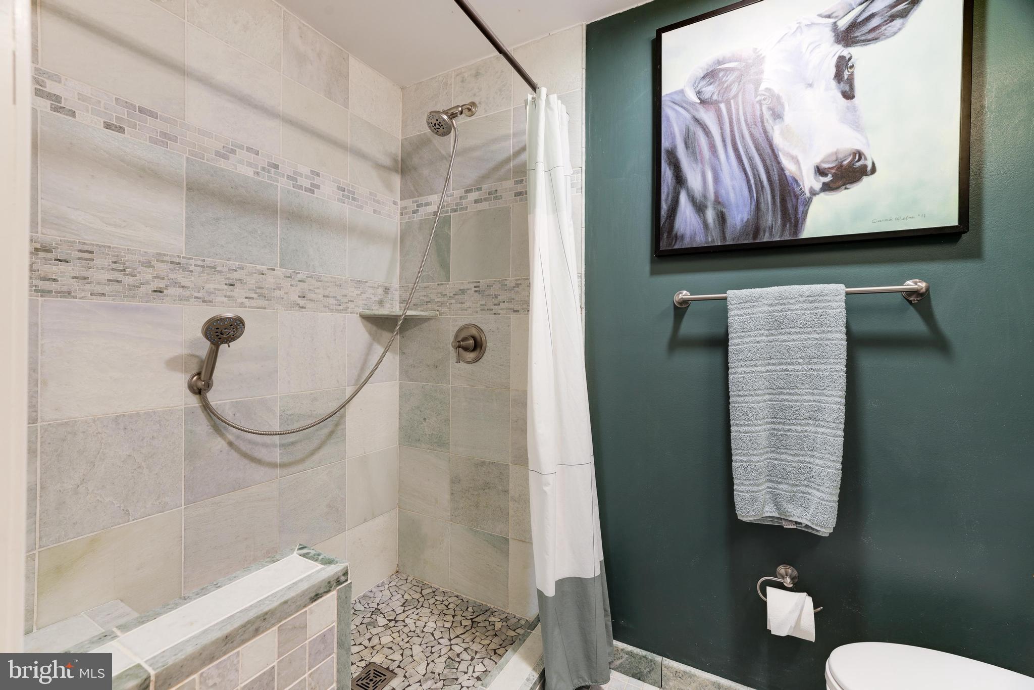 17550 Tranquility Road Purcellville, VA 20132 - Photo 21 of 60 Custom Shower