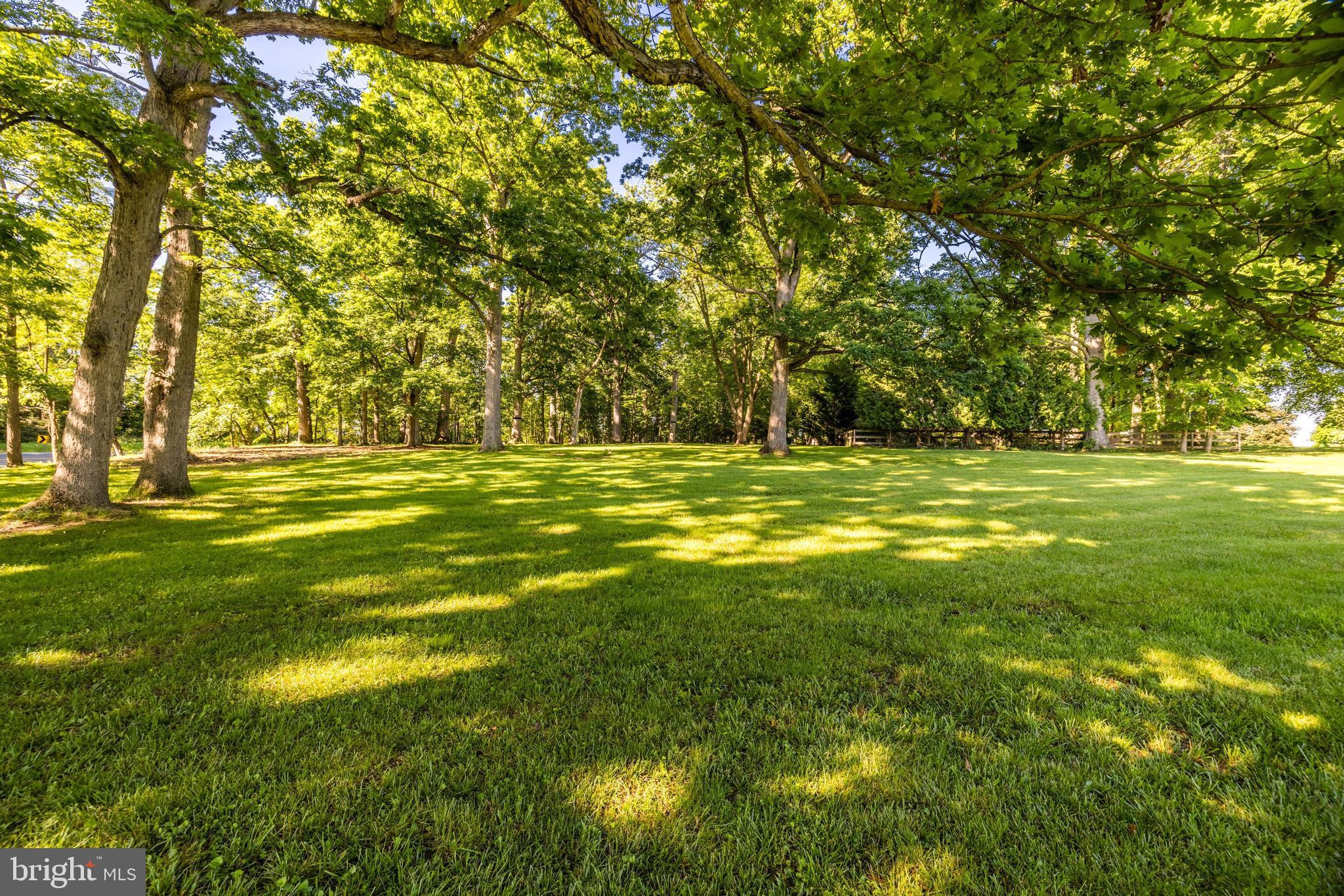 17550 Tranquility Road Purcellville, VA 20132 - Photo 3 of 60 Perfect Level Lot