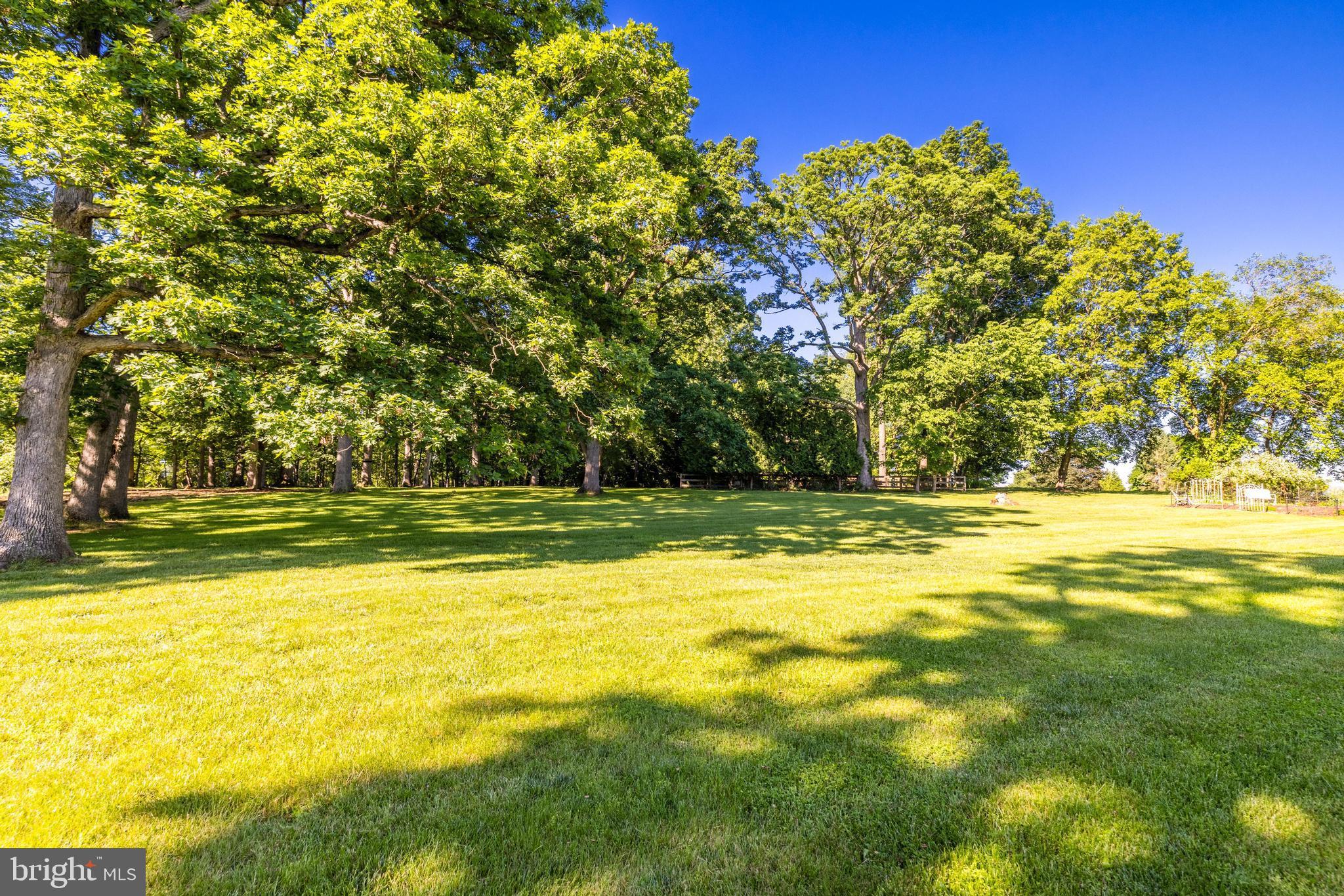 17550 Tranquility Road Purcellville, VA 20132 - Photo 42 of 60