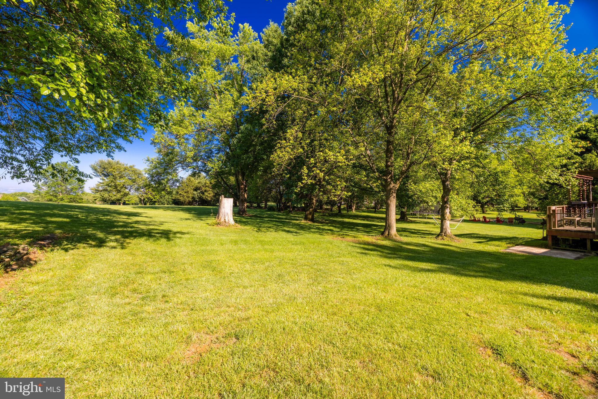 17550 Tranquility Road Purcellville, VA 20132 - Photo 43 of 60