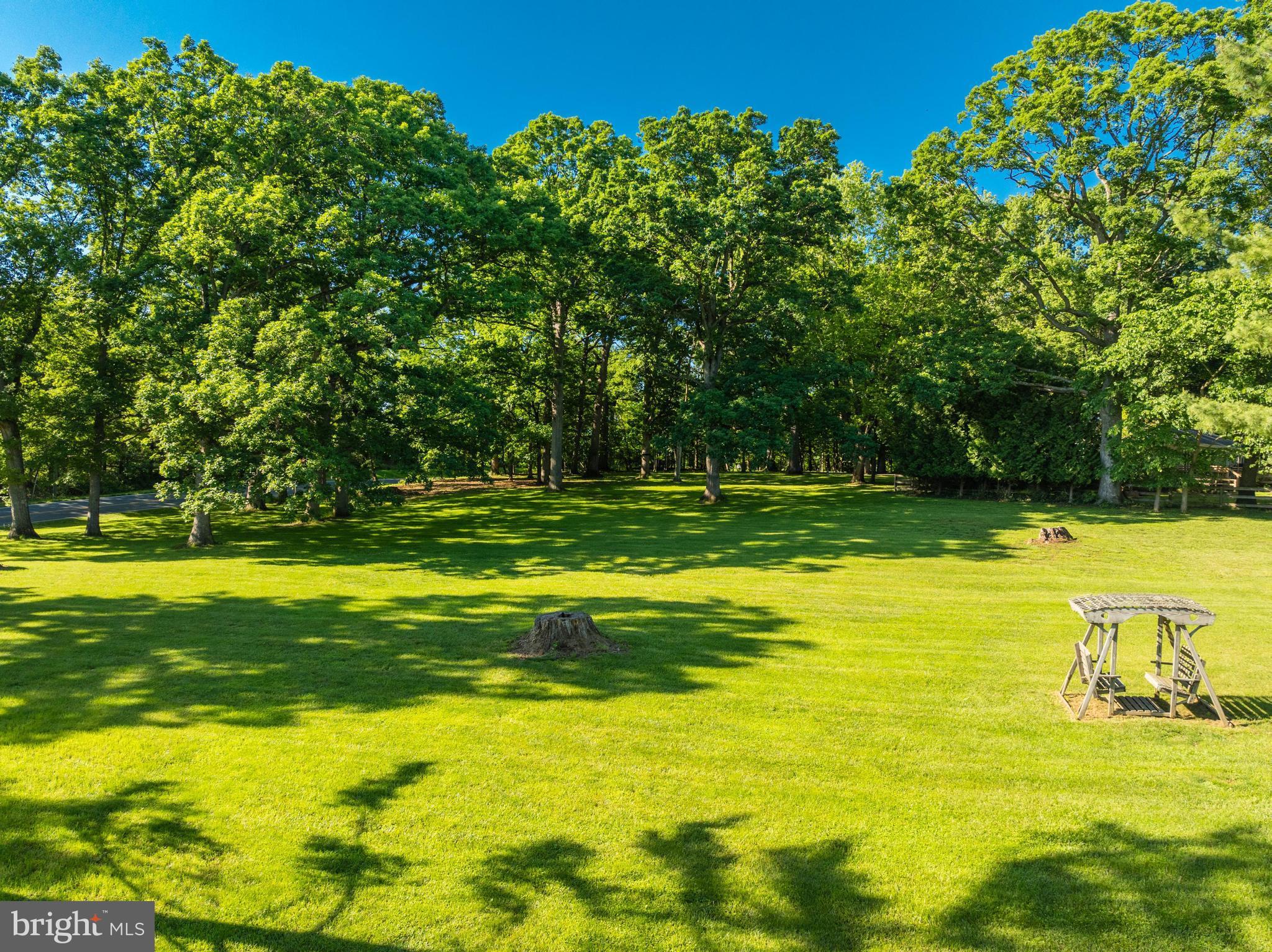 17550 Tranquility Road Purcellville, VA 20132 - Photo 53 of 60