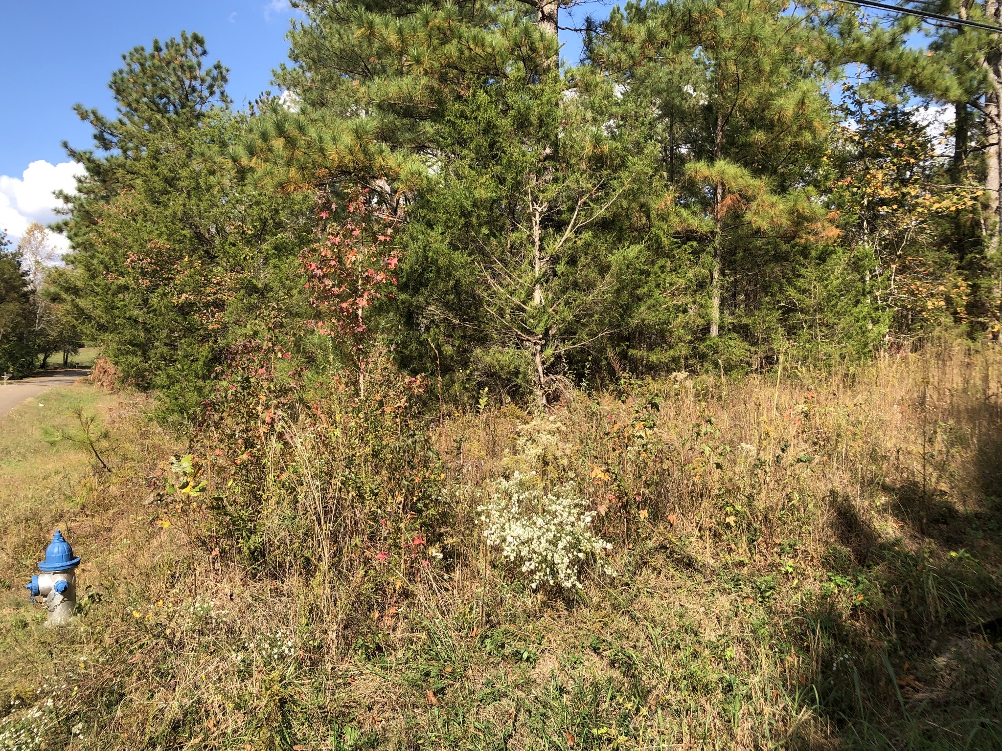 0 Howell Road Parsons, TN 38363 - Photo 16 of 18 Gallery Image 16