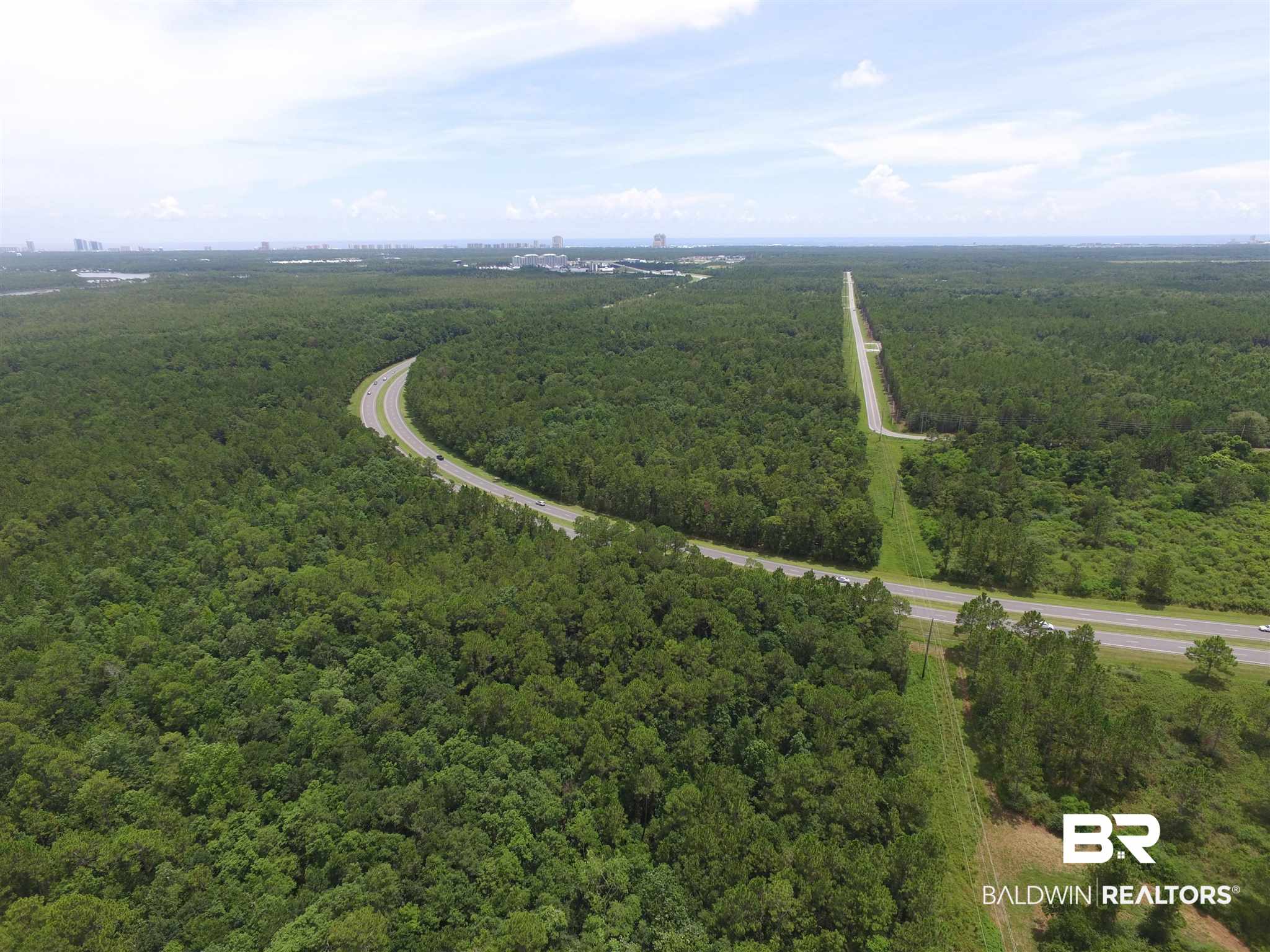 0 Baldwin Beach Expressway Gulf Shores, AL 36542 - Photo 10 of 11
