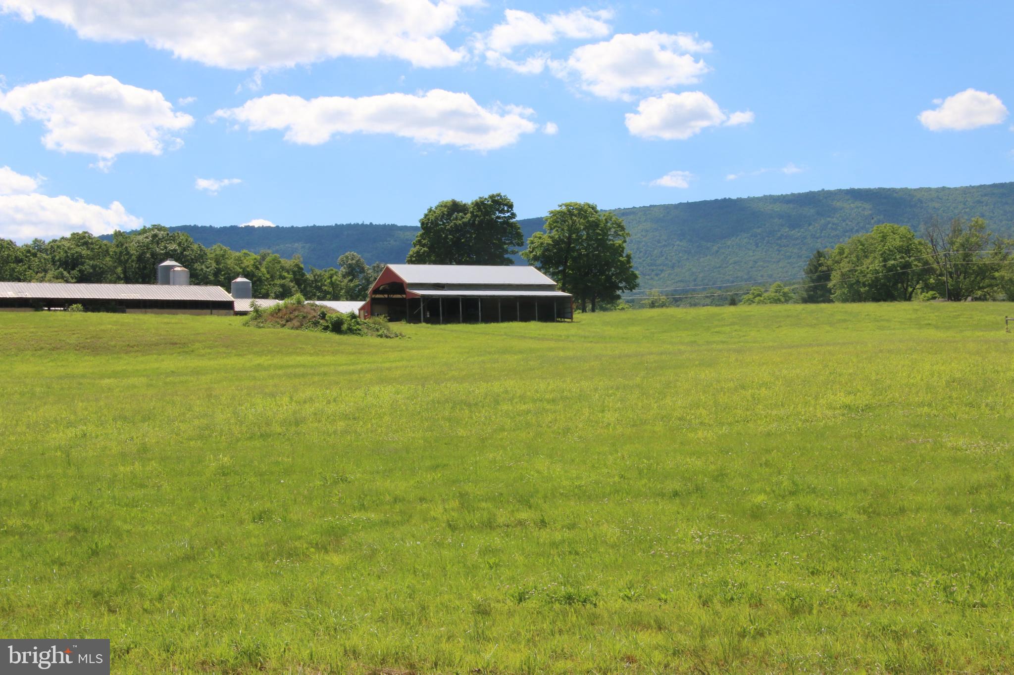 2332 Alum Springs Road Basye, VA 22810 - Photo 45 of 93 Gallery Image 45