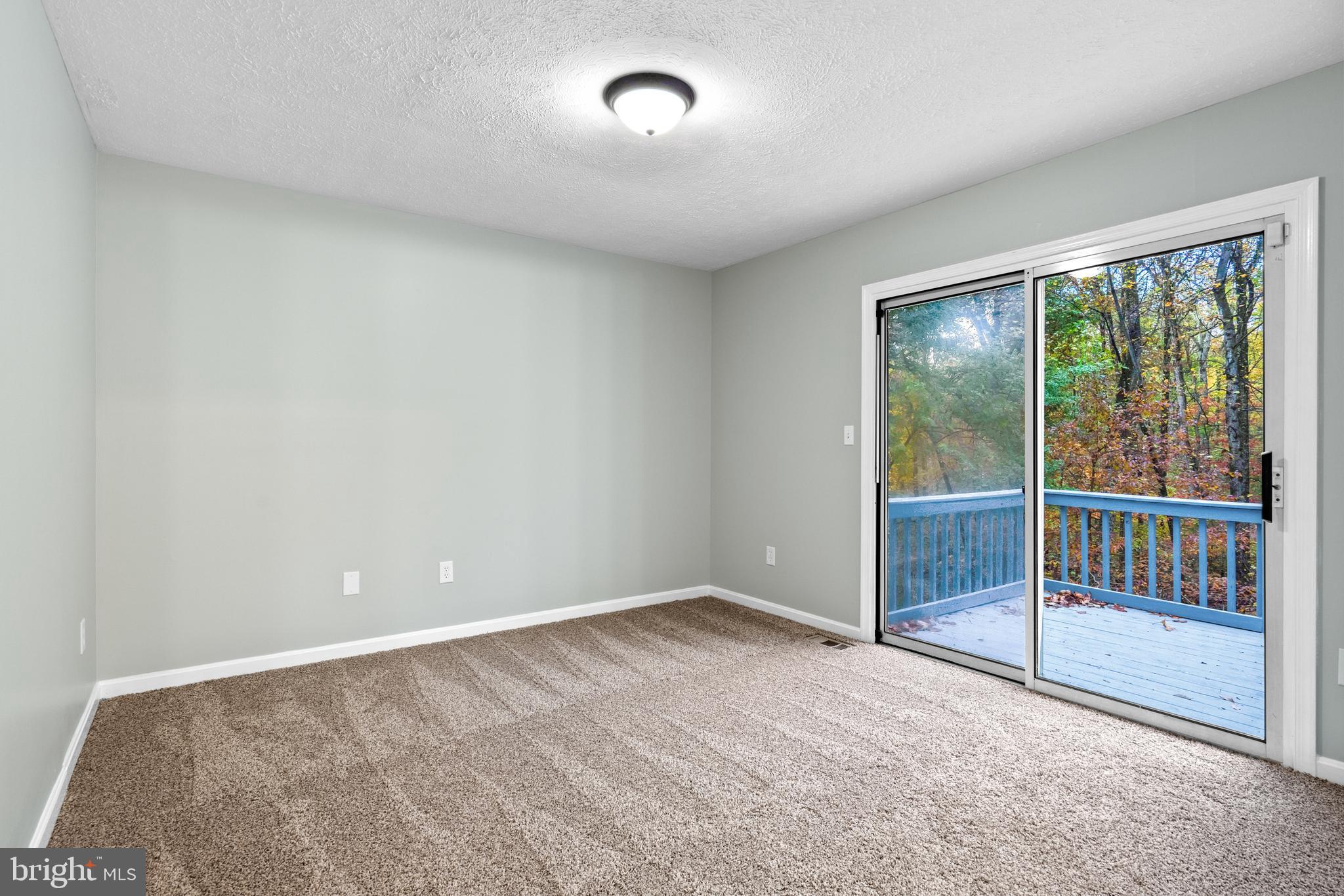 369 Wild Hare Road Harpers Ferry, WV 25425 - Photo 19 of 29 an empty room with sliding door