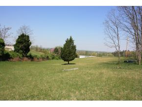 627 Bailey Bridge Road, Unit 1 Limestone, TN 37681 - Photo 3 of 7 Photo 3