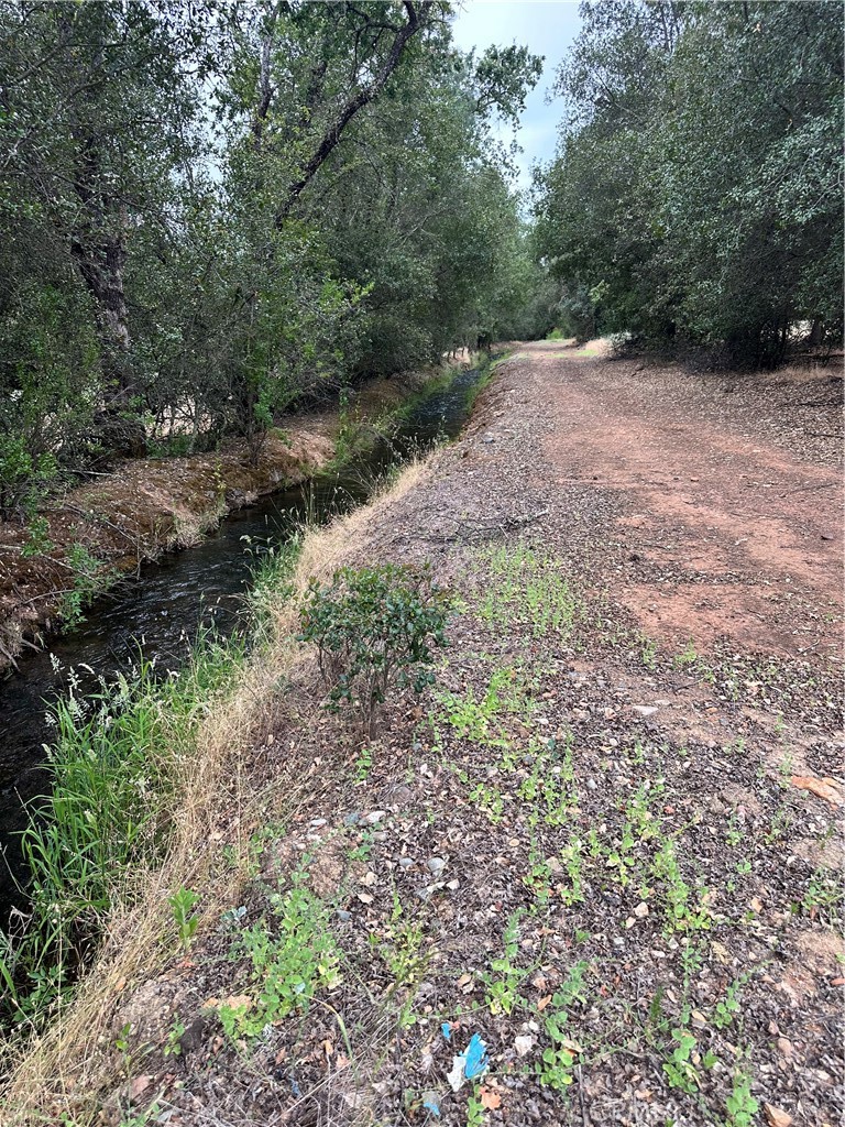 414 Beaver Road Oroville, CA 95966 - Photo 10 of 10