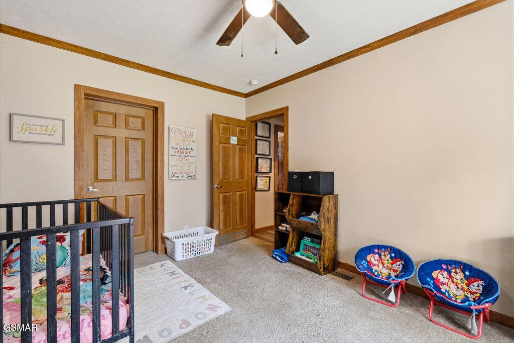 704 Mize Road Seymour, TN 37865 - Photo 32 of 47 Gallery Image 32